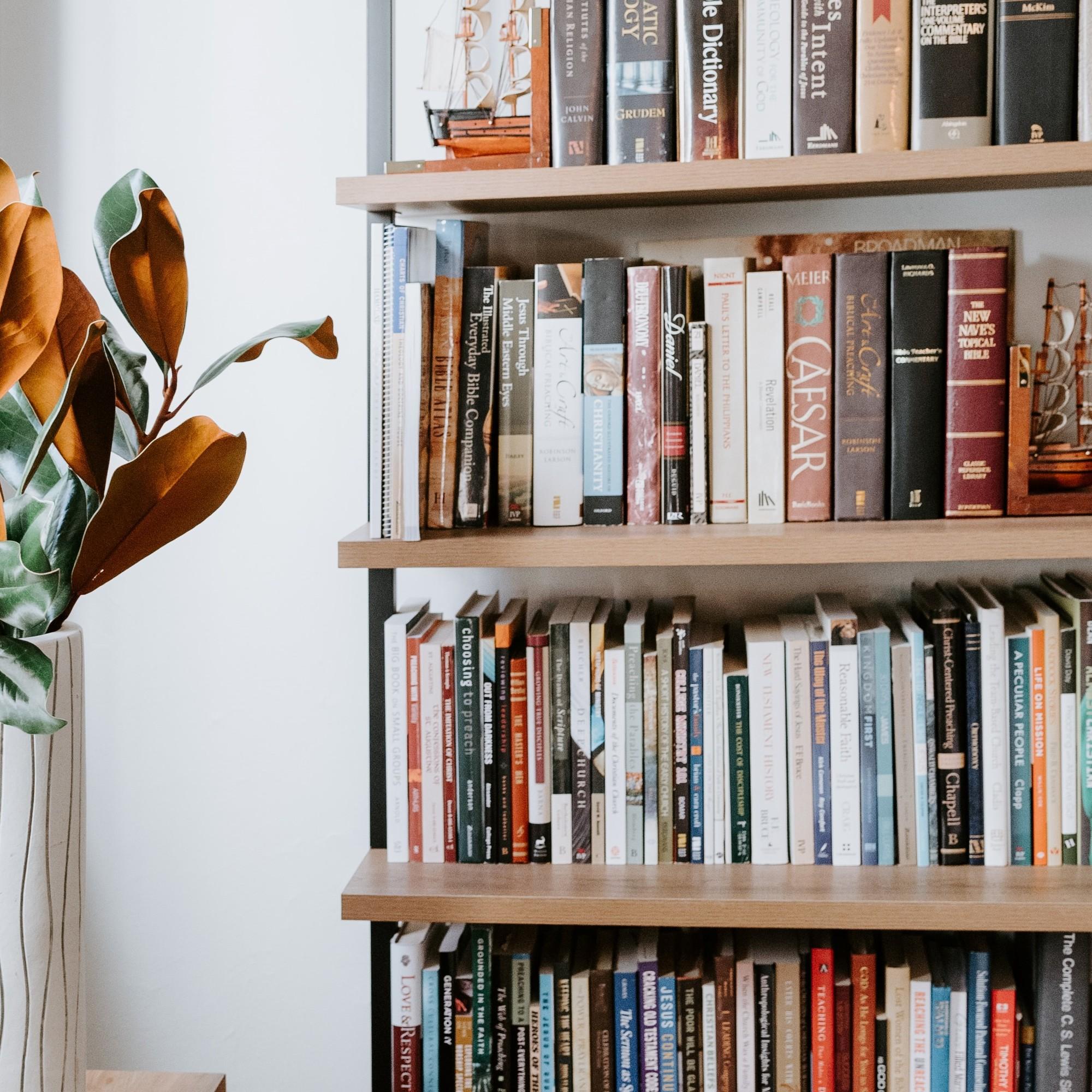 How To Style Your Bookshelf Like A Pro