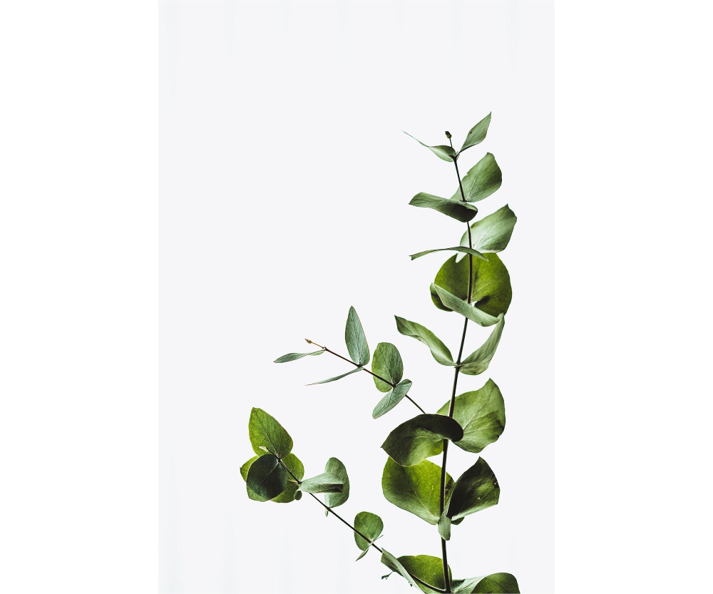 5 Sustainability Hacks Every One Should Know